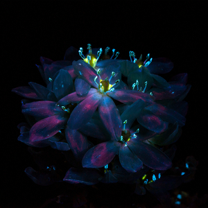 儿娘共赴云雨情,雨山红全诗原文
